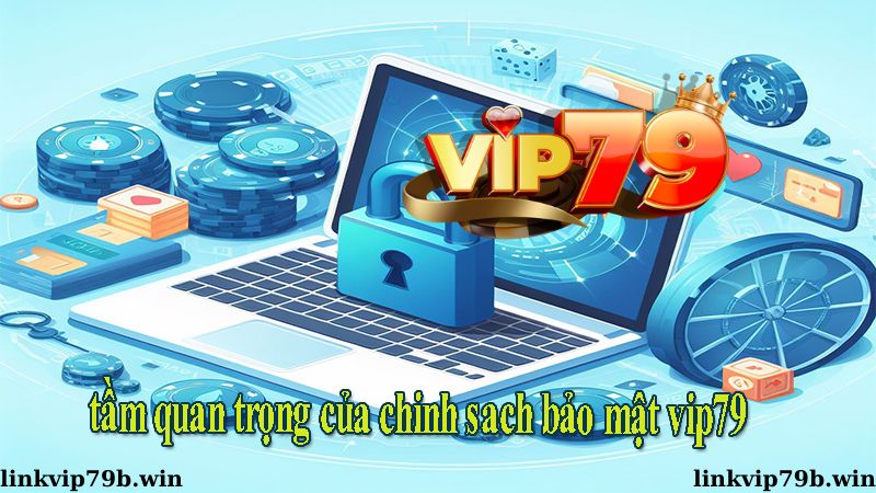 Tầm quan trọng của chính sách bảo mật Vip79